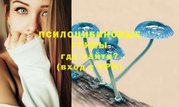 spice Покровск